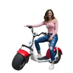 YIDE Retro Italy Style Electric Scooter – 60V 2000W Vintage Design with 60KM Range & Hydraulic Brakes - Image 4