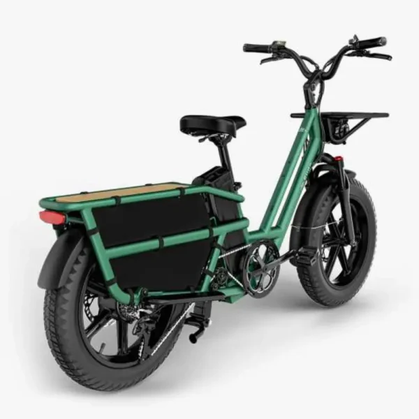 Fiido T2 Longtail Cargo E-Bike – 750W Utility Electric Bike with 998Wh Battery & 200KG Load Capacity - Image 3