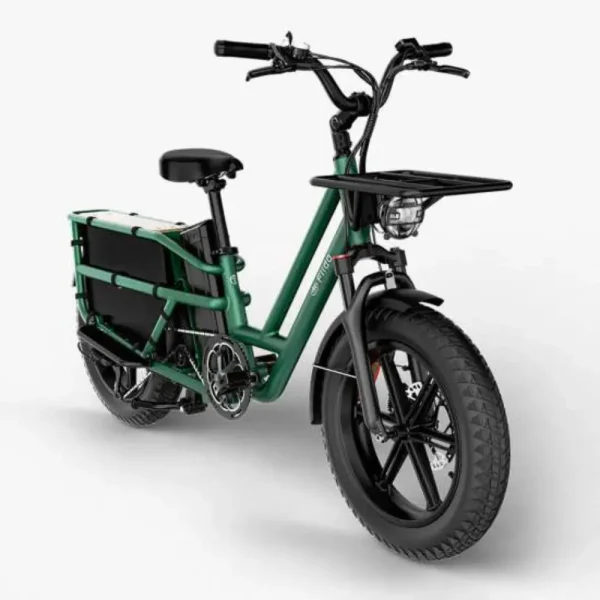 Fiido T2 Longtail Cargo E-Bike – 750W Utility Electric Bike with 998Wh Battery & 200KG Load Capacity - Image 2