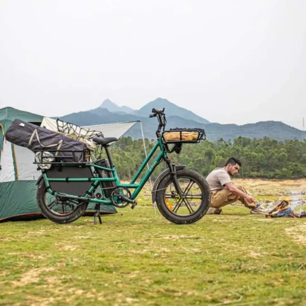 Fiido T2 Longtail Cargo E-Bike – 750W Utility Electric Bike with 998Wh Battery & 200KG Load Capacity - Image 6
