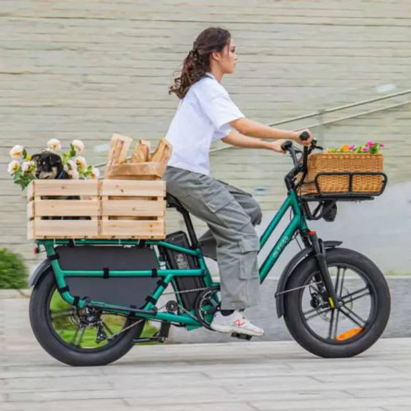 Fiido T2 Longtail Cargo E-Bike – 750W Utility Electric Bike with 998Wh Battery & 200KG Load Capacity - Image 4