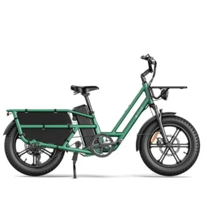 Fiido T2 Longtail Cargo E-Bike – 750W Utility Electric Bike with 998Wh Battery & 200KG Load Capacity