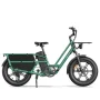 Fiido T2 Longtail Cargo Electric Bike with fat tires and rear rack